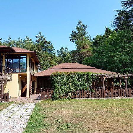 פיזונדה Guest House Black Sea מראה חיצוני תמונה
